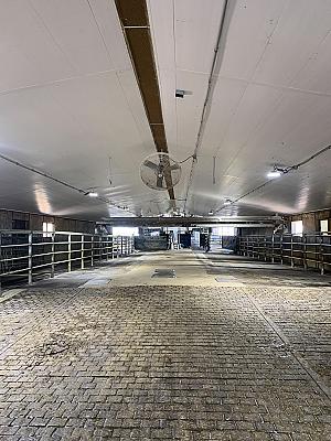 Milk Parlor / Dairy Processing