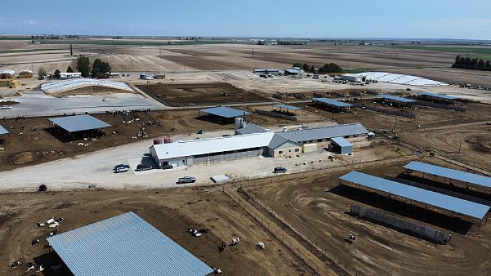 Milk Parlor / Dairy Processing