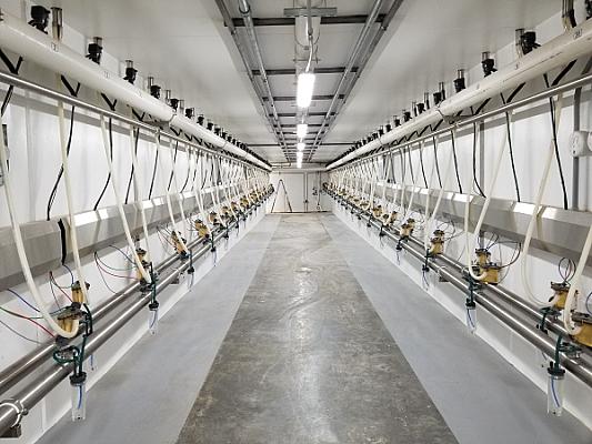 Milk Parlor / Dairy Processing