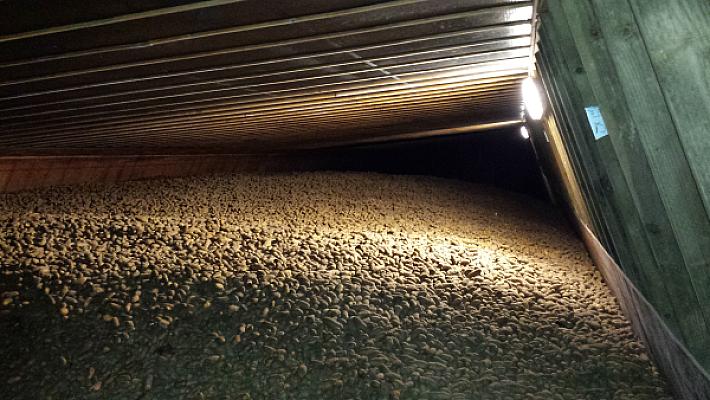 Original Slant Wall Potato Storage