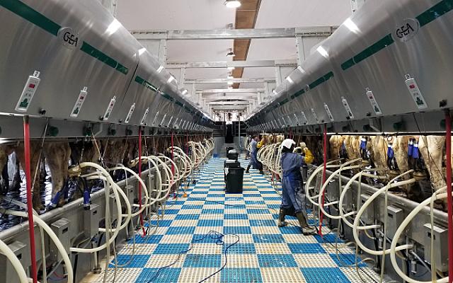 Milk Parlor / Dairy Processing