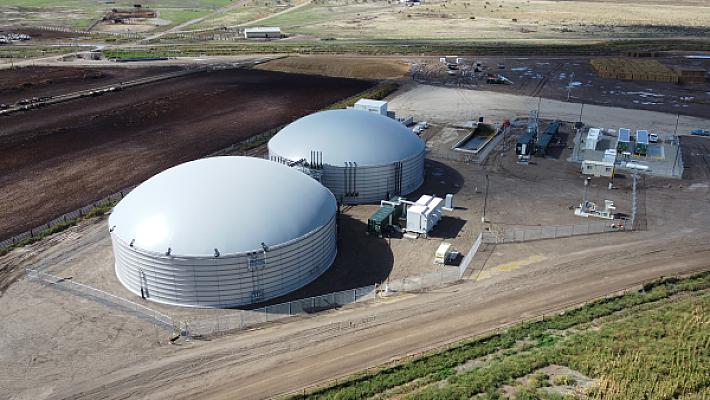 Dairy Digesters