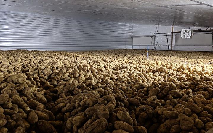 You want a potato storage, you got a potato storage!