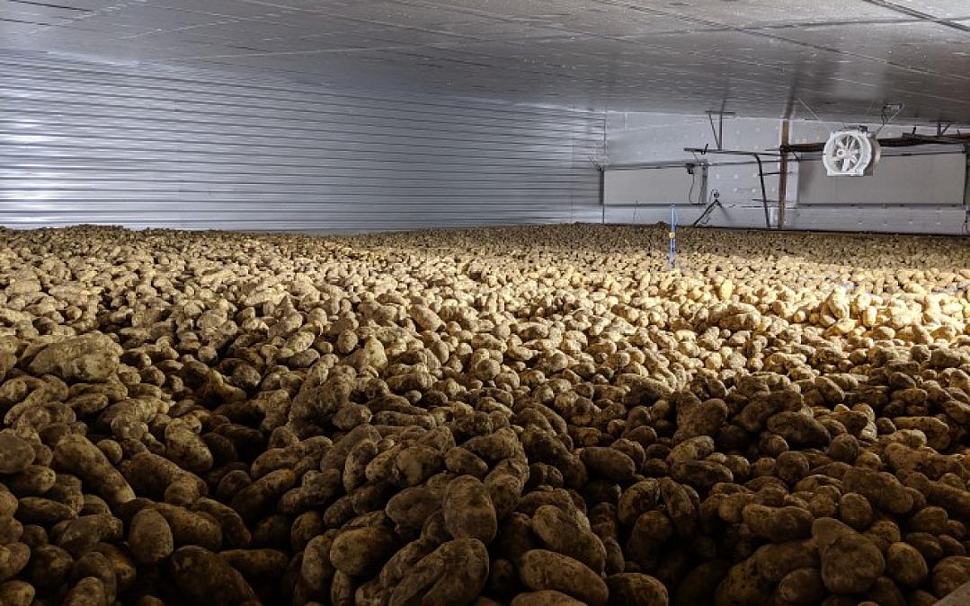 You want a potato storage, you got a potato storage!