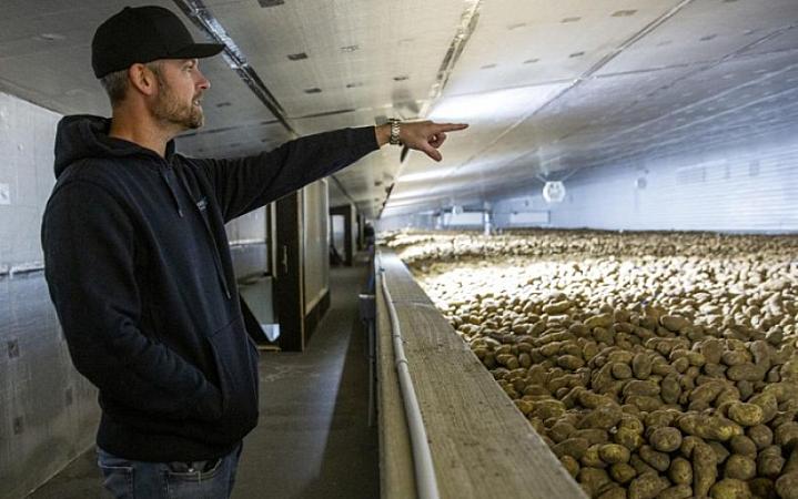 A cool way to keep spuds cool