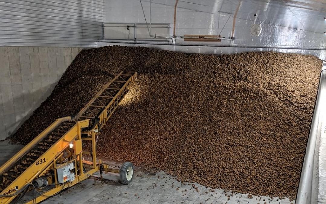 We were also in potatobusiness.com