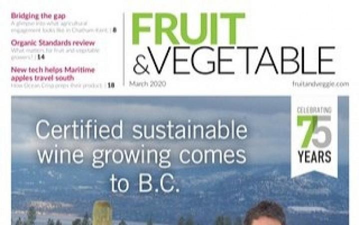 Our Potato storage was in fruitandveggie.com