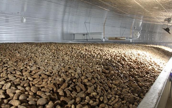 Innovation Without Boundaries